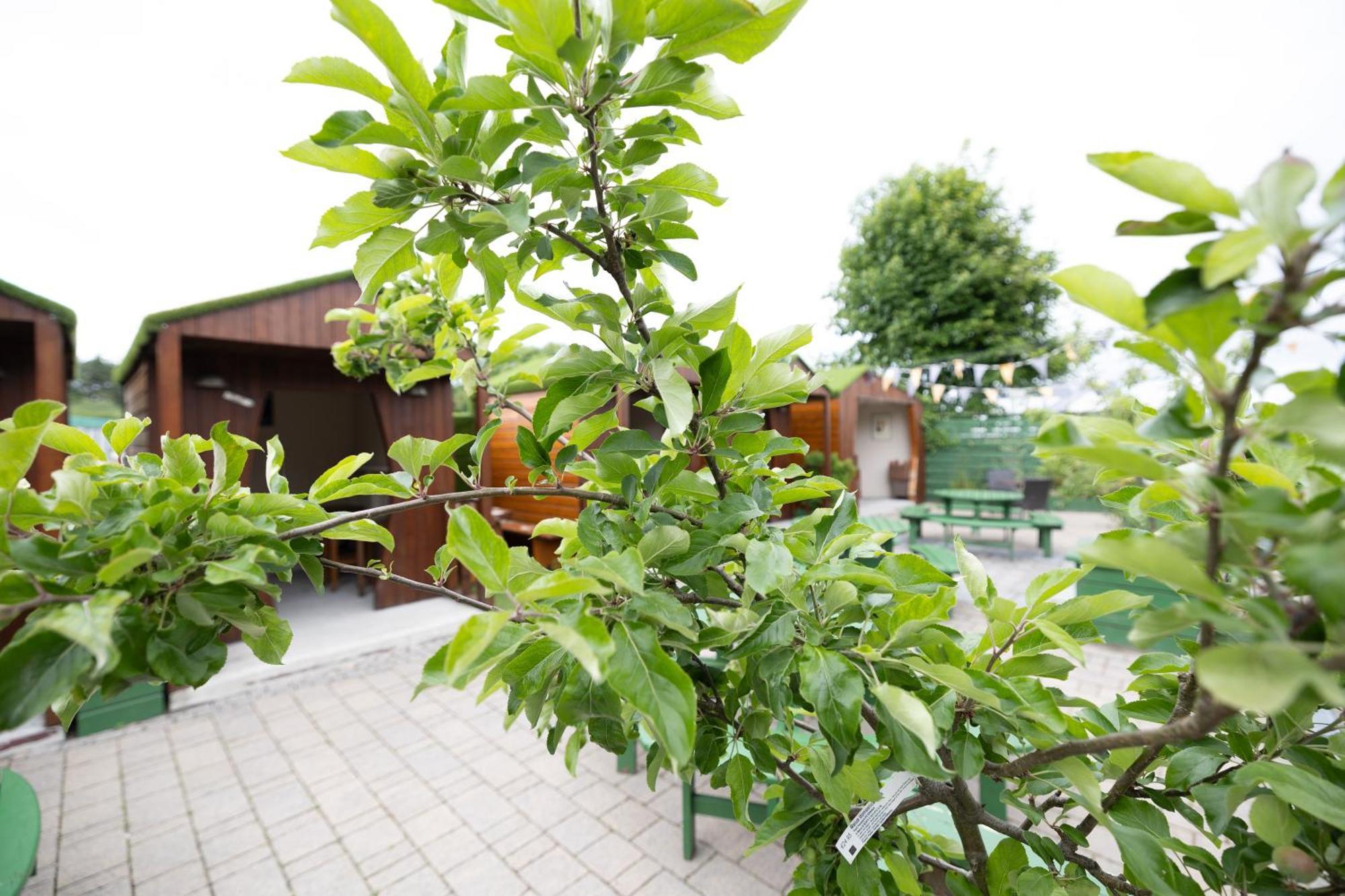 The Orchard House 호텔 킬케니 외부 사진